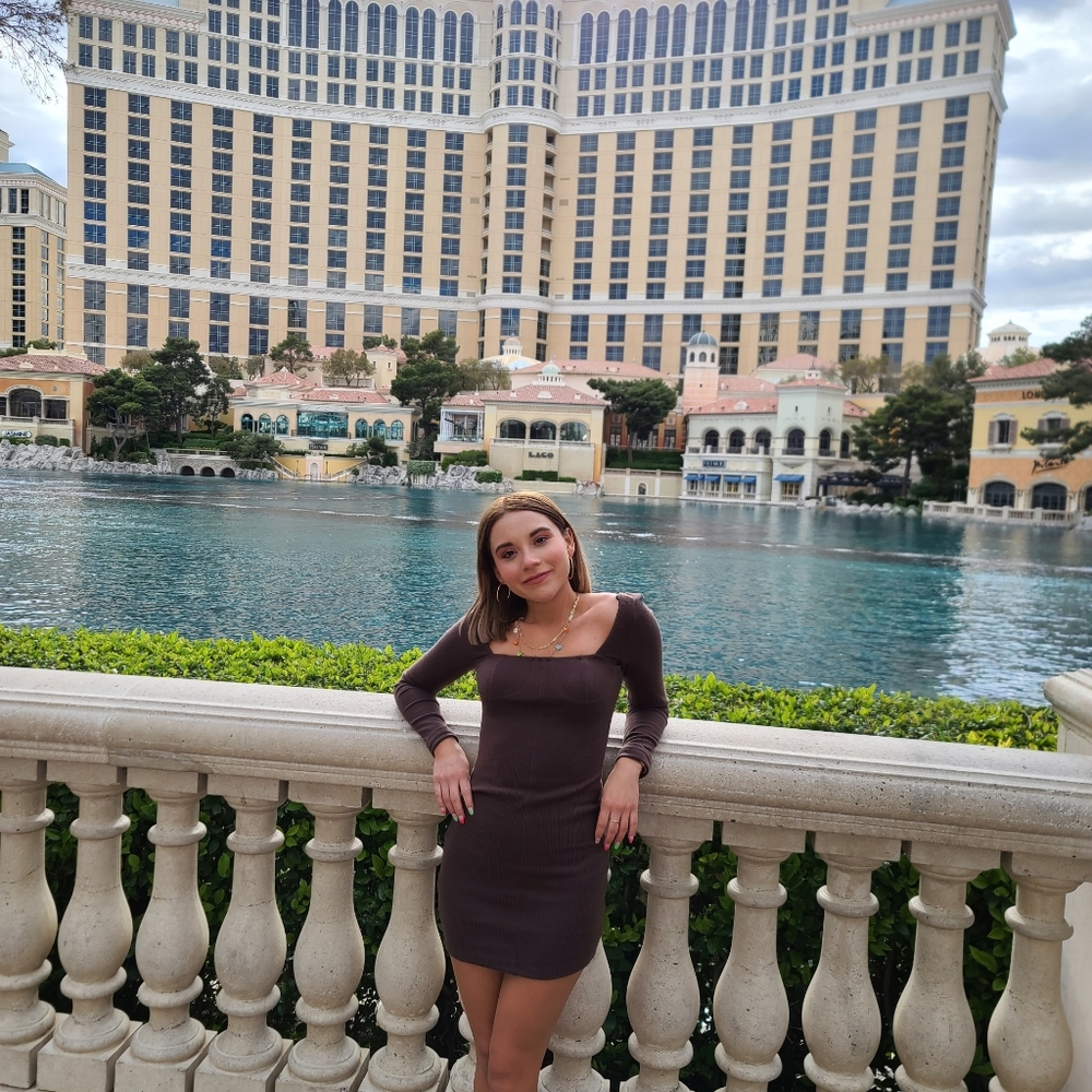 princess polly brown mini dress